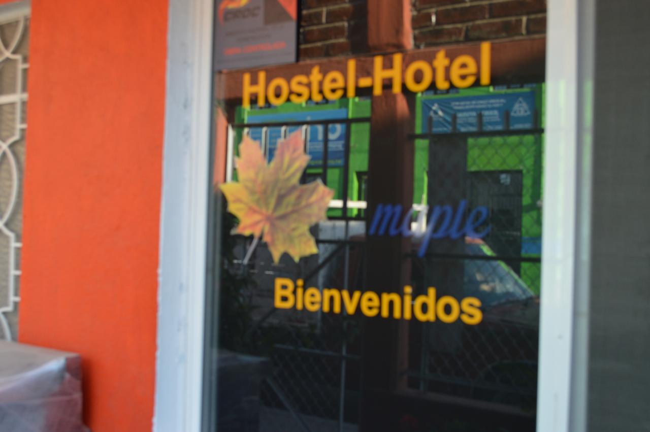 Hostal Maple Hostel Queretaro Exterior photo