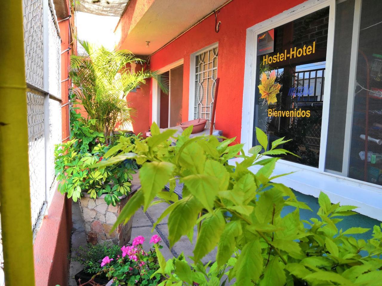 Hostal Maple Hostel Queretaro Exterior photo